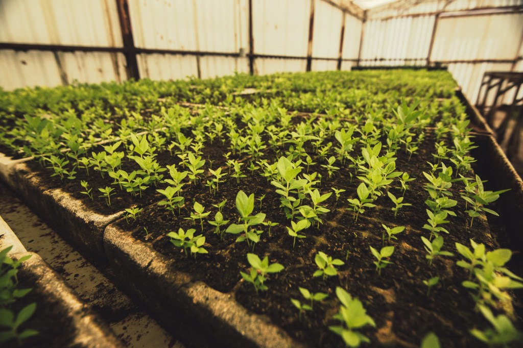 Peñoles reafirma su compromiso con la&nbsp;sostenibilidad