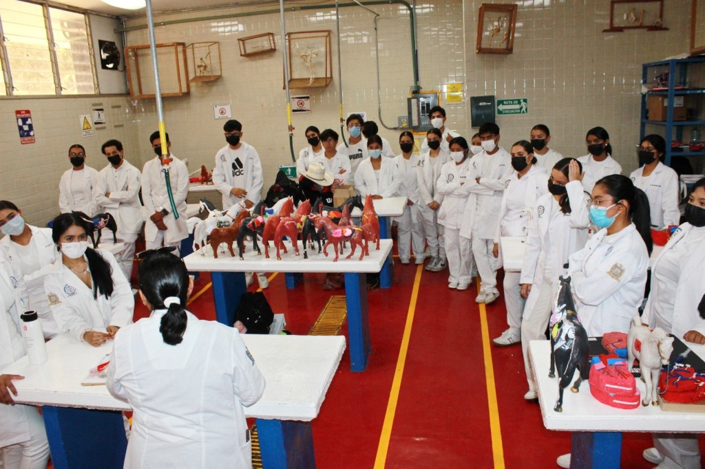 UAMVZ de la UAZ entre las cuatro mejores escuelas de veterinaria del país: Gutiérrez Piña